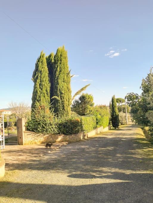 Villetta Rio, Large Private Garden เชชินา ภายนอก รูปภาพ